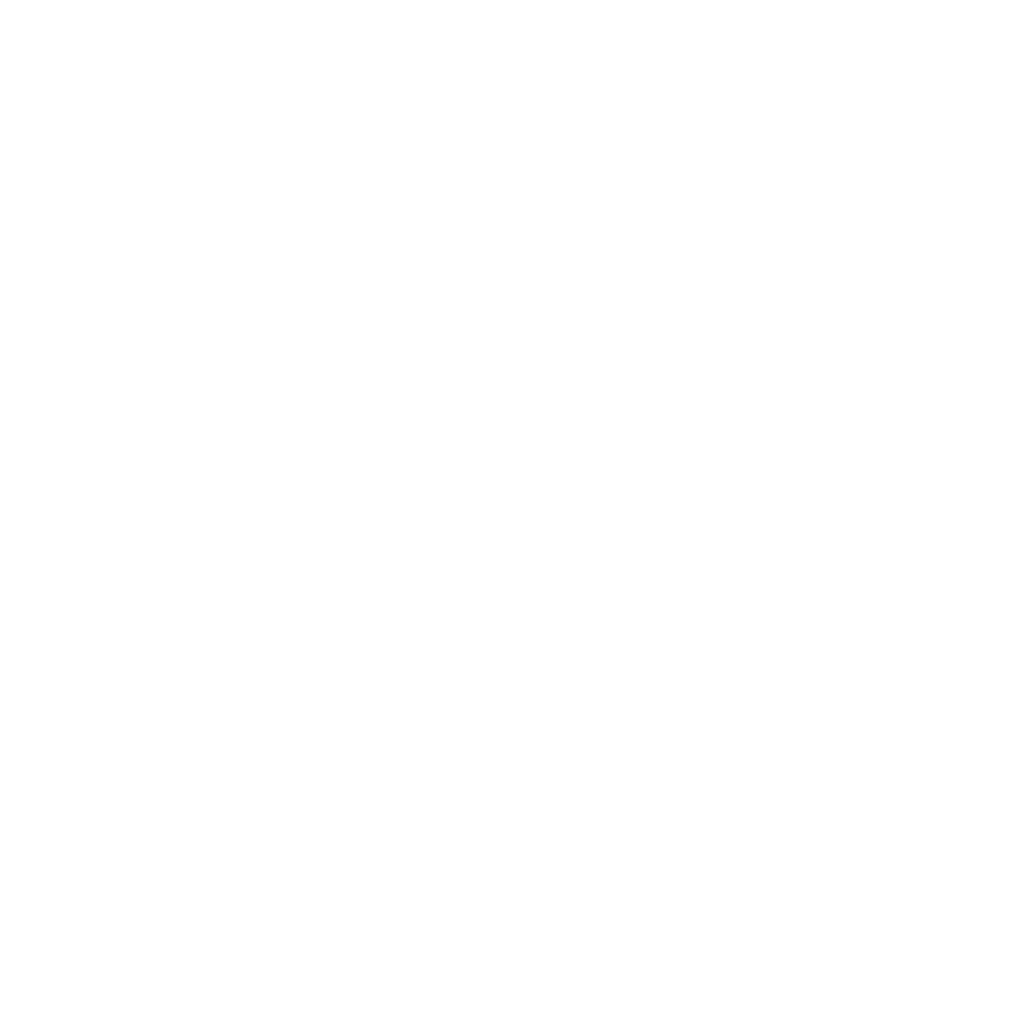 Institut ZEI